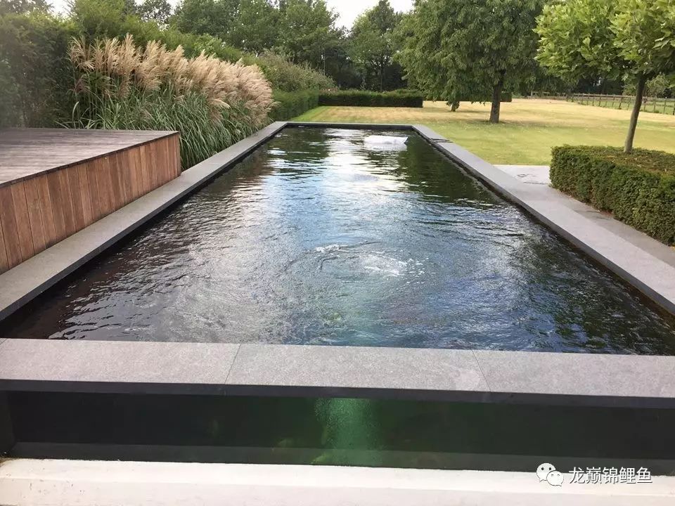 旧鱼池如何重新做防水,鱼池防水怎么做视频