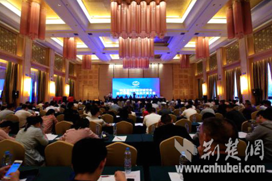 湖北省民营经济会议,湖北省民营经济研究会怎样