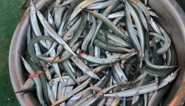 闀垮矝绉嬪ぉ娴烽矞,闀垮矝娣℃贰娓呴