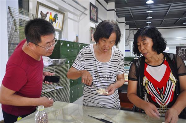 包头文化汇演,包头文化演出