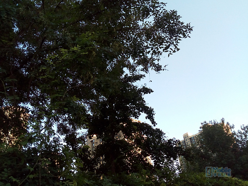 荣耀畅玩6续航测试,荣耀畅玩6x续航评测