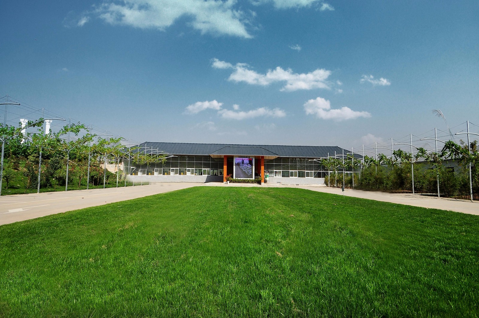 白鹿原葡萄主题公园,西安附近葡萄主题公园