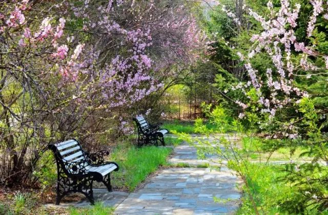 黑龙江新增试点大学,黑龙江省教育厅公示大学名单