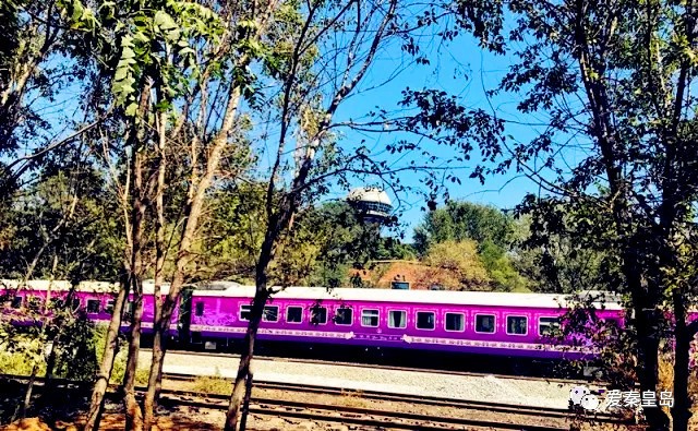 旅发大会硕果累累！孟书记用10个“比如”，向世界展示秦皇岛！