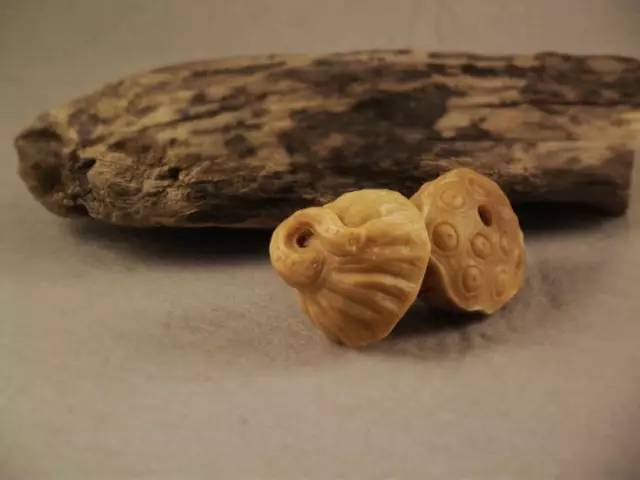 象牙果工艺品好吗,雕刻艺术果雕