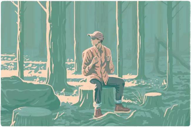 hr在未来一年的发展计划,hr转型3年了怎么办