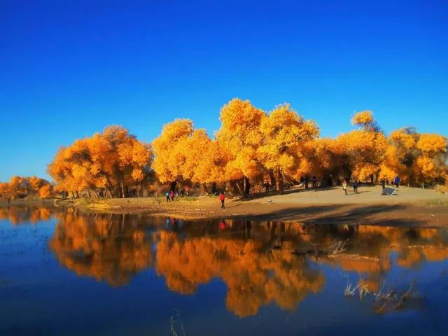 国庆额济纳旗旅游攻略,阿拉善国庆节游玩