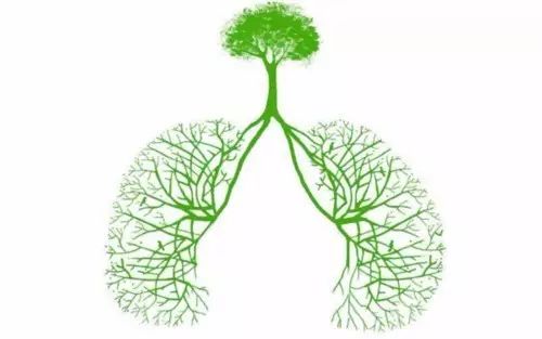 有肺结核吃什么补品,肺结核吃什么补药