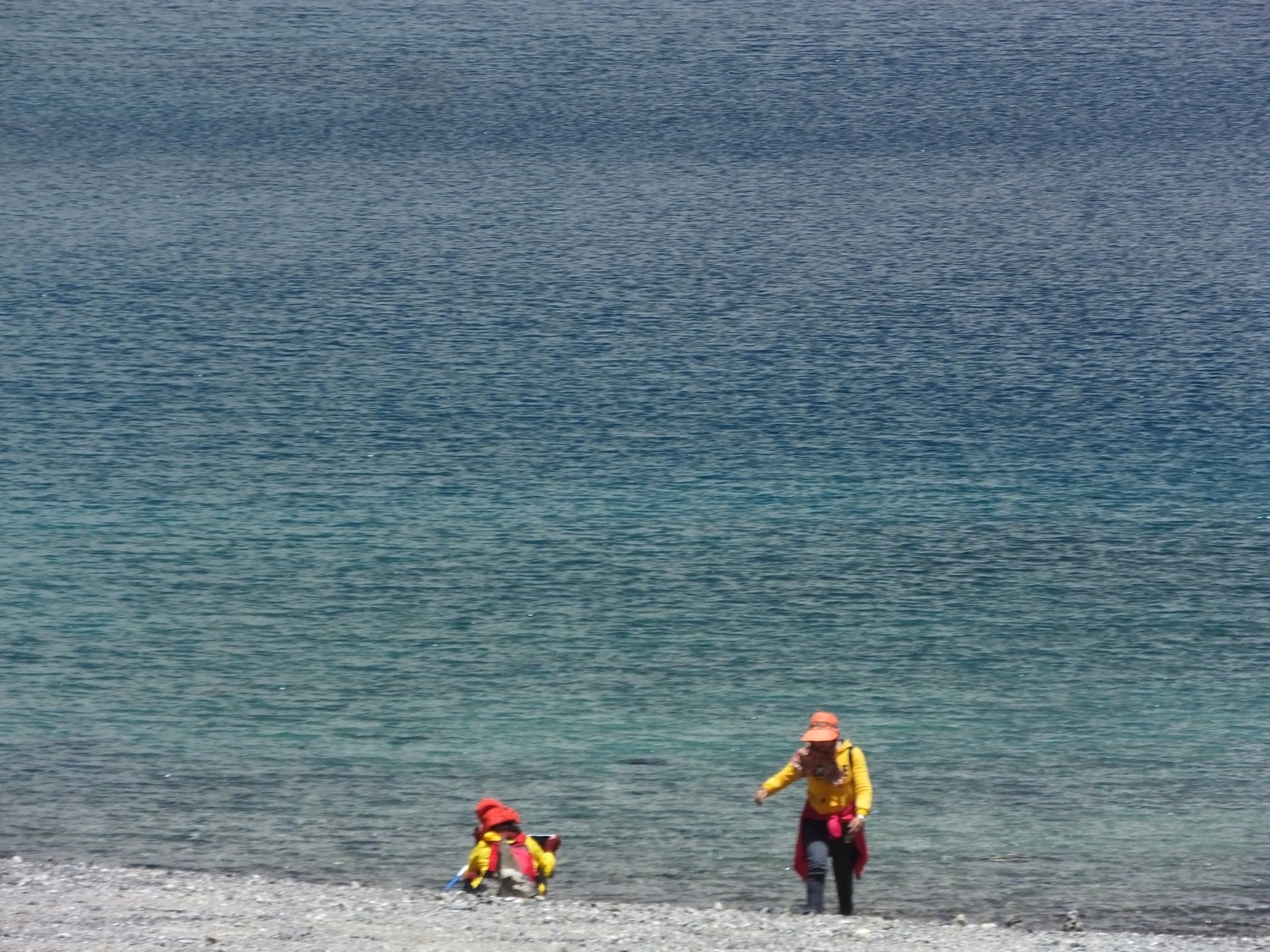 泸亚东线沿途风景,泸亚线穿越原始森林