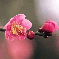 211旅游管理专业,211旅游管理专业毕业生现状