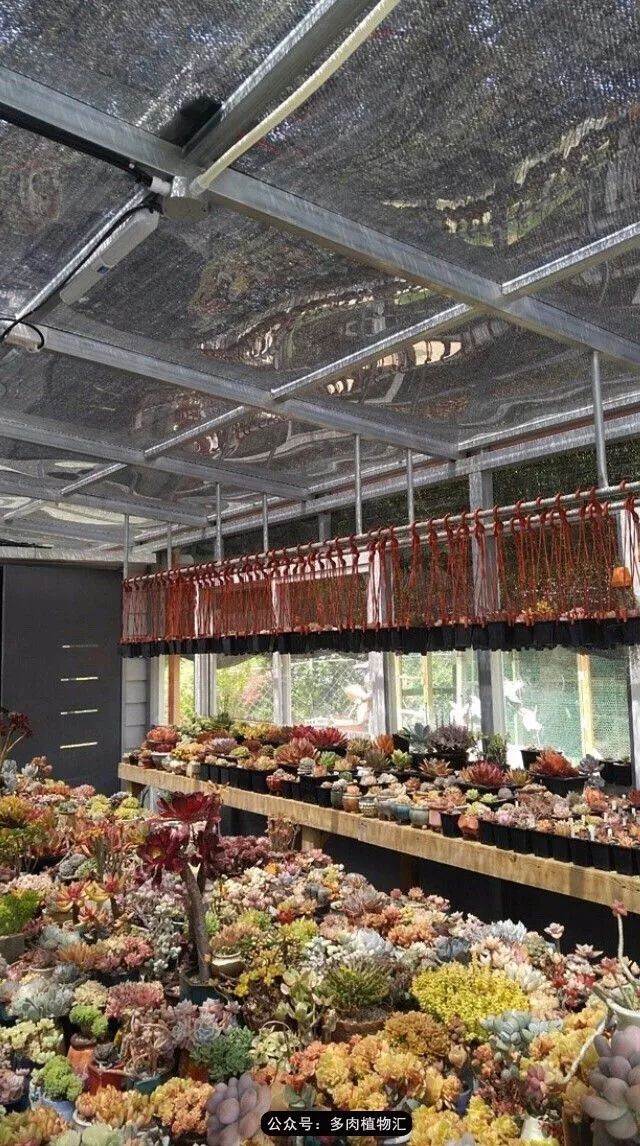 只有见过韩国肉友的阳台，才知道什么叫做物尽其用！