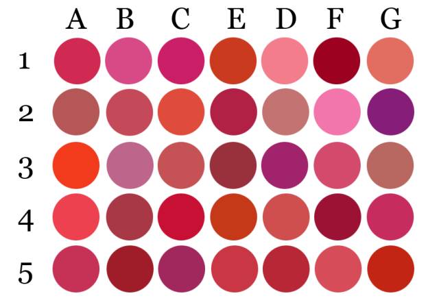 真假女生,真假美女测试