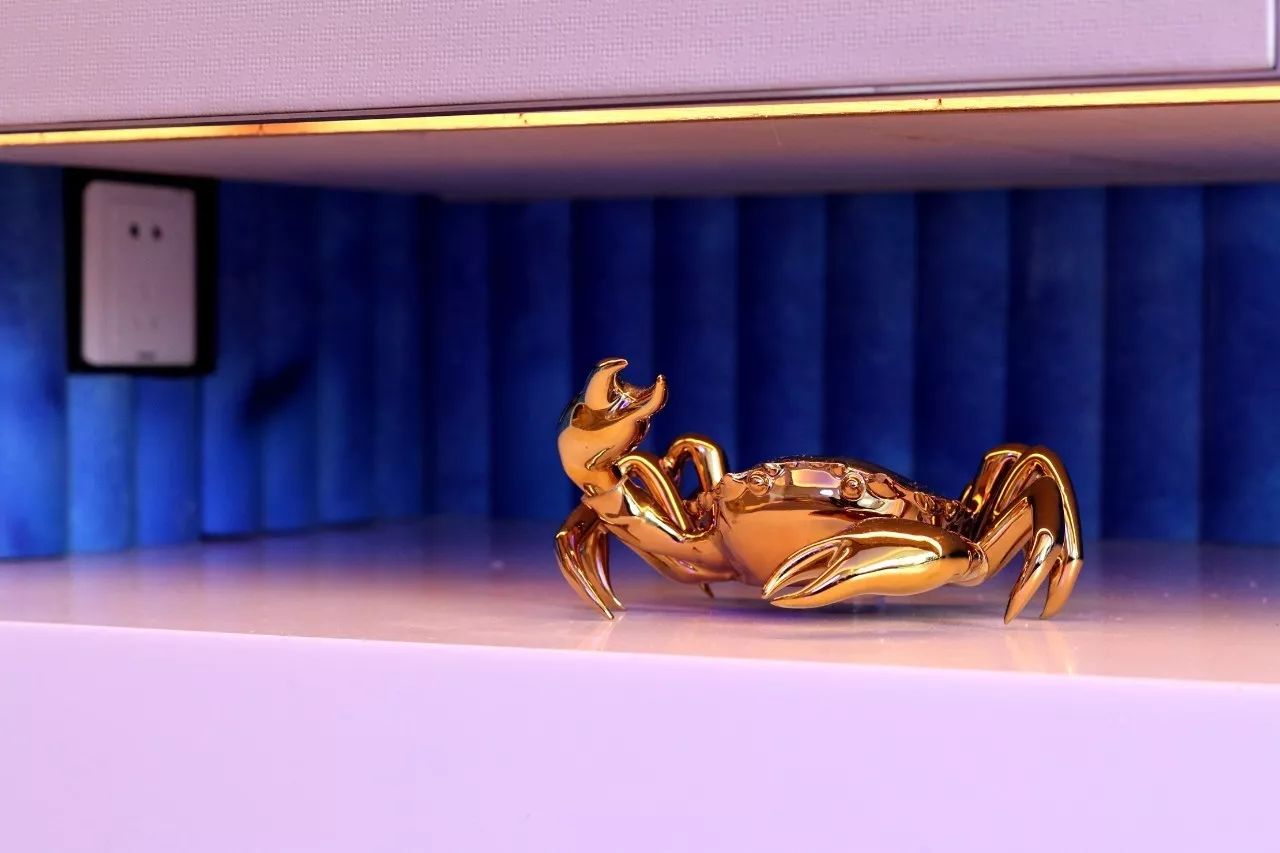 苏州w酒店婚纱秀,苏州w酒店几星级