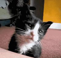 快醒醒你的假期余额不足,假期余额不足3个重要提醒请查收