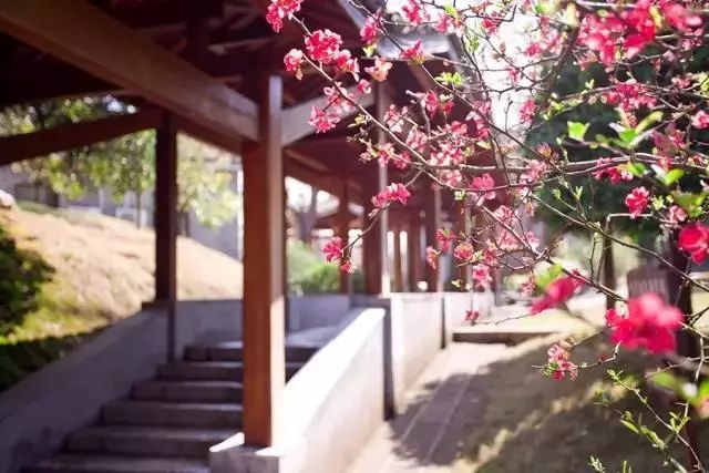 3天2夜!秋日带你去这座绝美山城体验不一样的“慢旅行”!