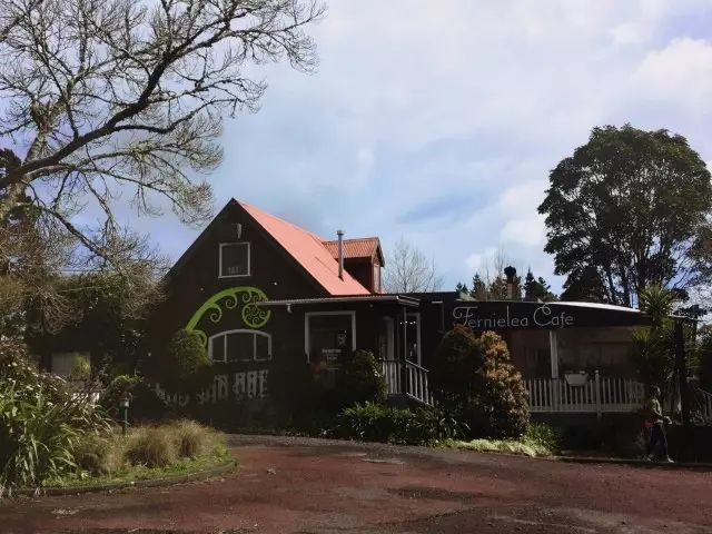 营养师妈妈带娃,营养师妈妈测评怎么写