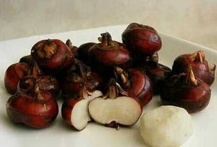 江西旅游三天游最佳路线,江西瑞金市旅游攻略