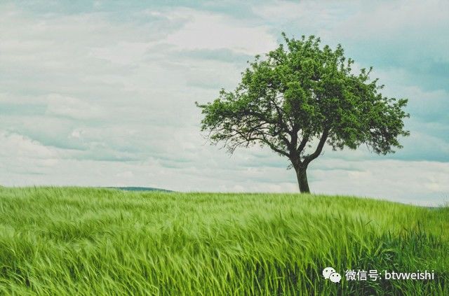 养生堂今日播出视频,养生堂一针一灸保健康