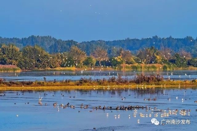 「关注」南沙举办“全球环境展望——世界环境科学家大会”招待会，还有精彩活动邀你参加！