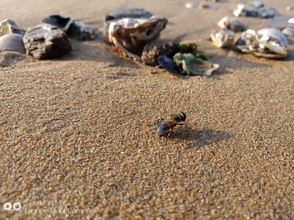 金立M7参数,金立m7深度分析