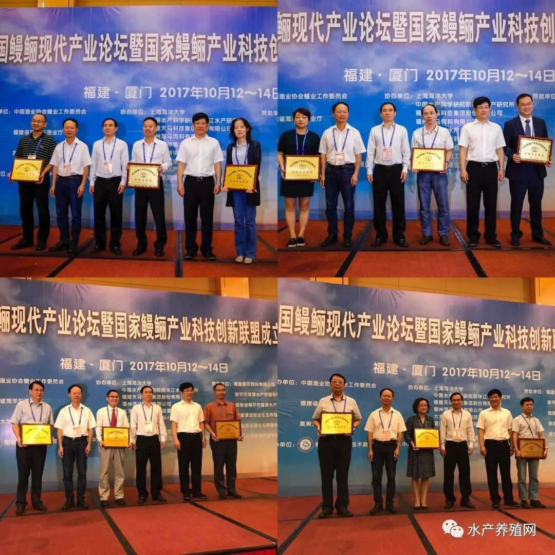 一半以上鳗鱼靠出口，被誉为“水产领域研究最后的一个大金矿”，繁华背后却有隐患