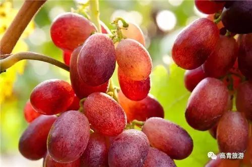 山东省淄博这个地方怎样,淄博第一个地级市