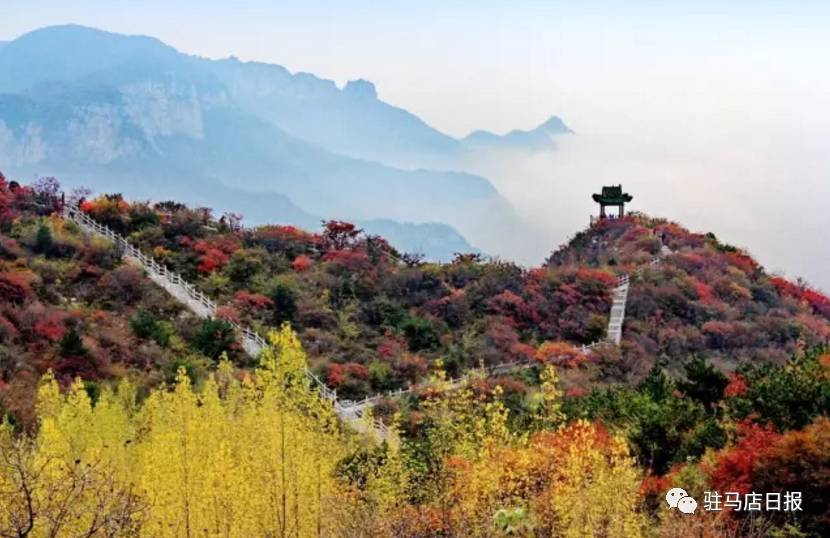 娌抽暱鍚嶅崟鍏憡,娌抽暱鍚嶅崟鍏ず