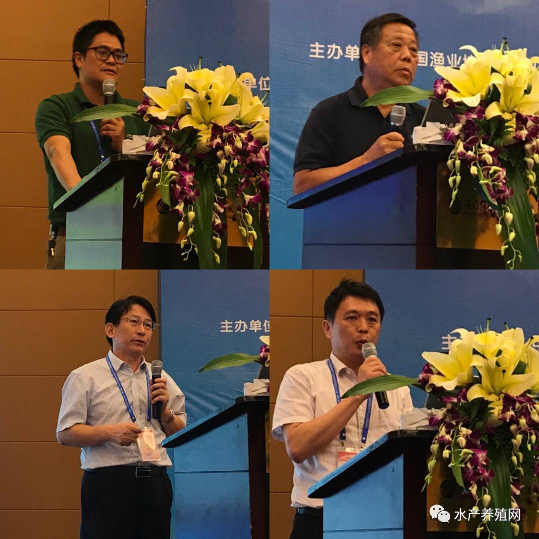 一半以上鳗鱼靠出口，被誉为“水产领域研究最后的一个大金矿”，繁华背后却有隐患