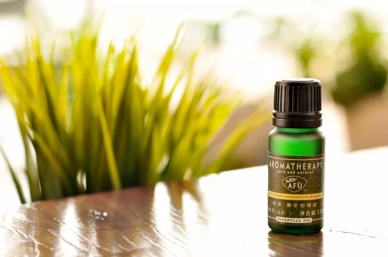 瀹犵矇鐙傞瓟鏂版涓婃柊,瀹犵矇鐙傞瓟涓婄嚎