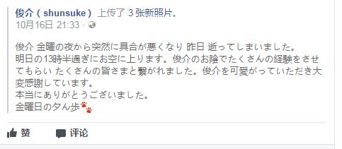 俊介犬舍推荐,俊介犬猫