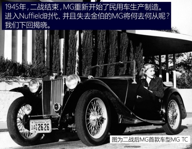 八角标志,八角徽标