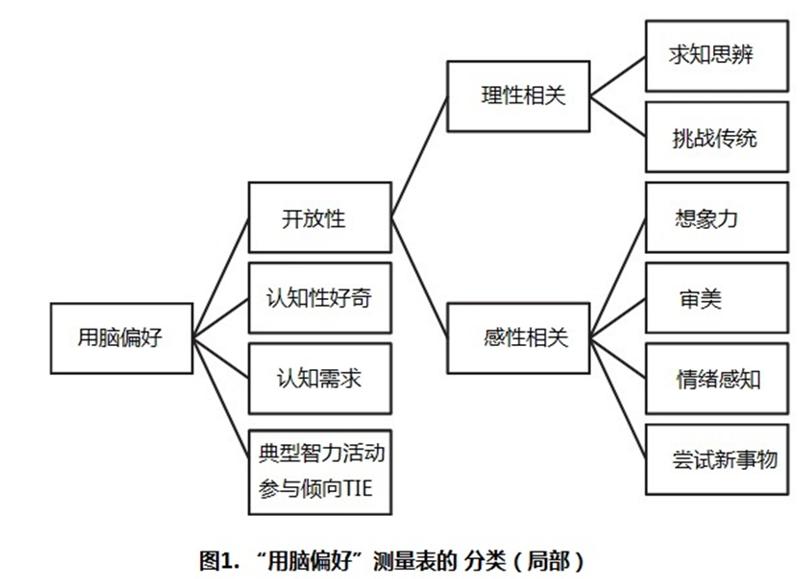 好奇心对学习的影响,人为什么有好奇心和学习能力