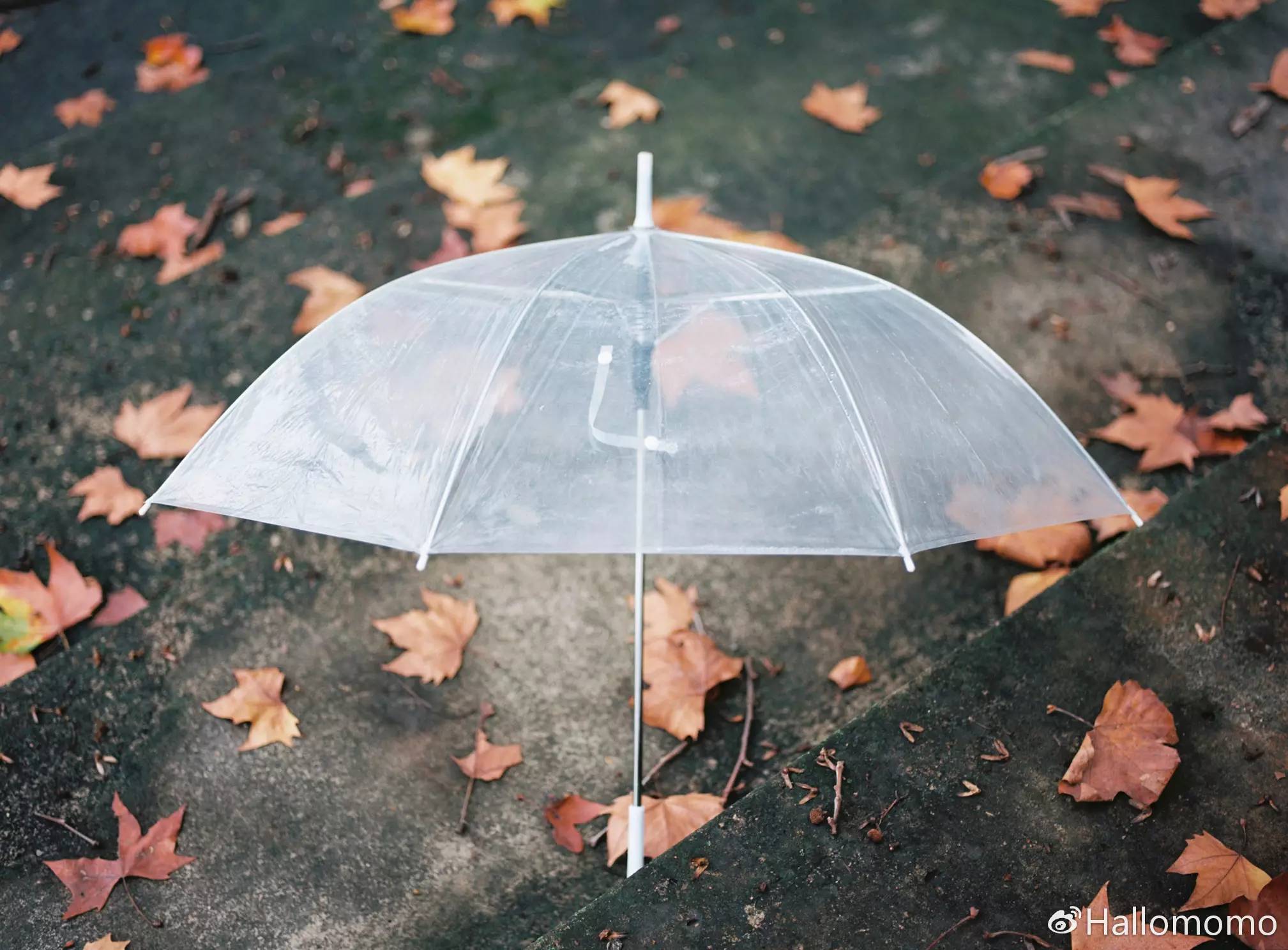 中画幅胶片机推荐,有哪些值得买的胶片机