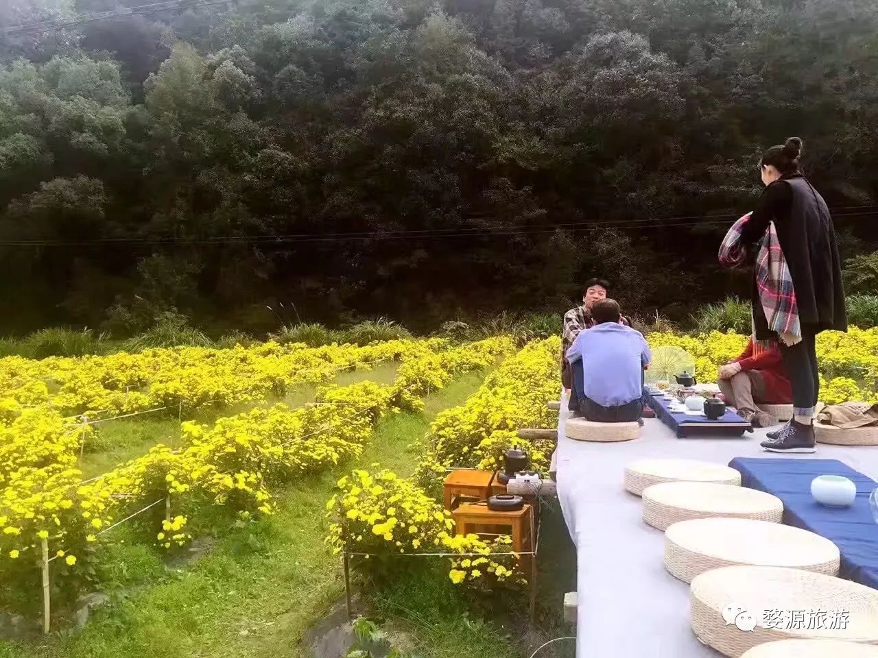 婺源举办茶文化旅游节,婺源茶文化节