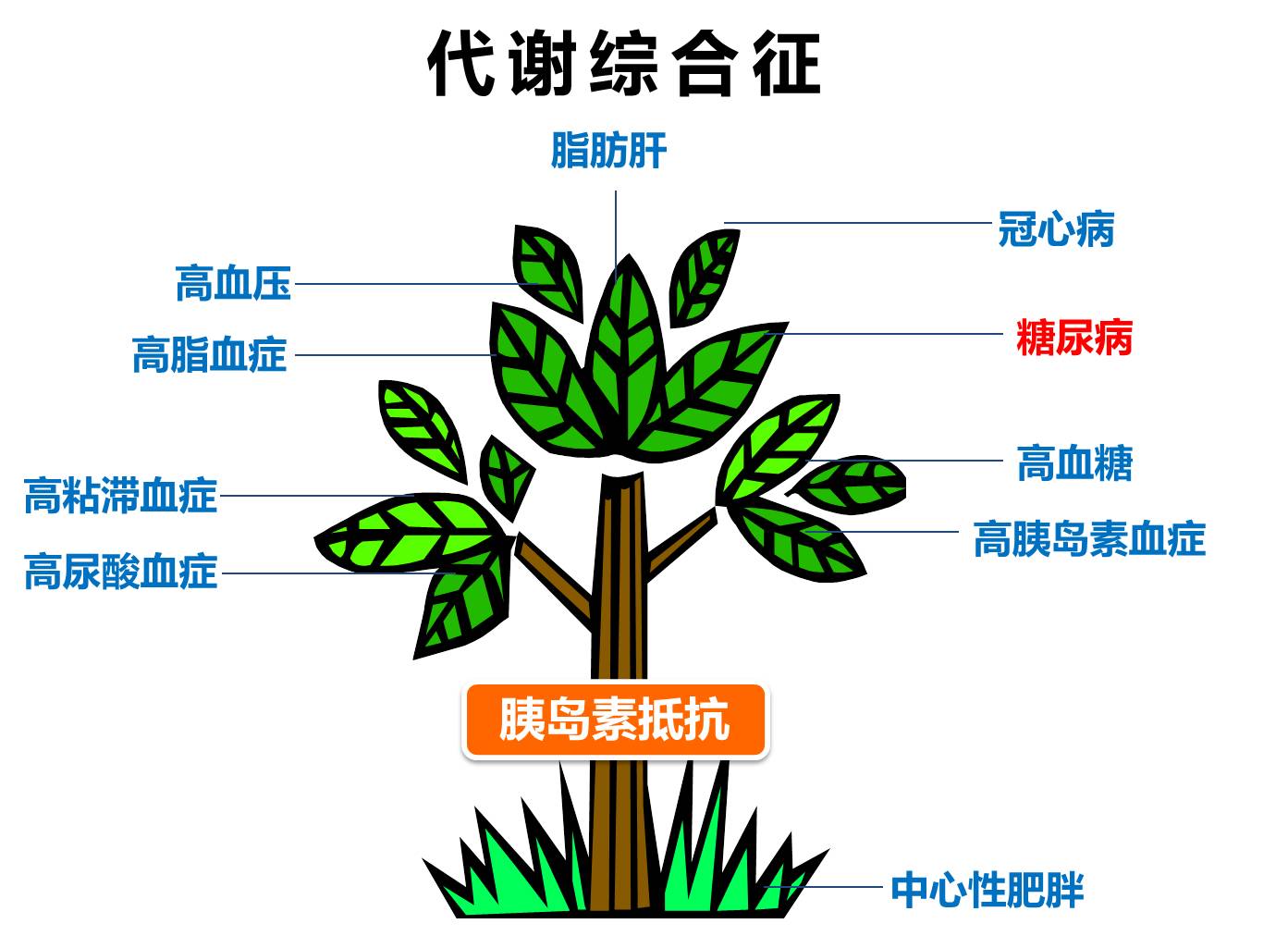 向红丁细说糖尿病书籍,向红丁晚年得糖尿病