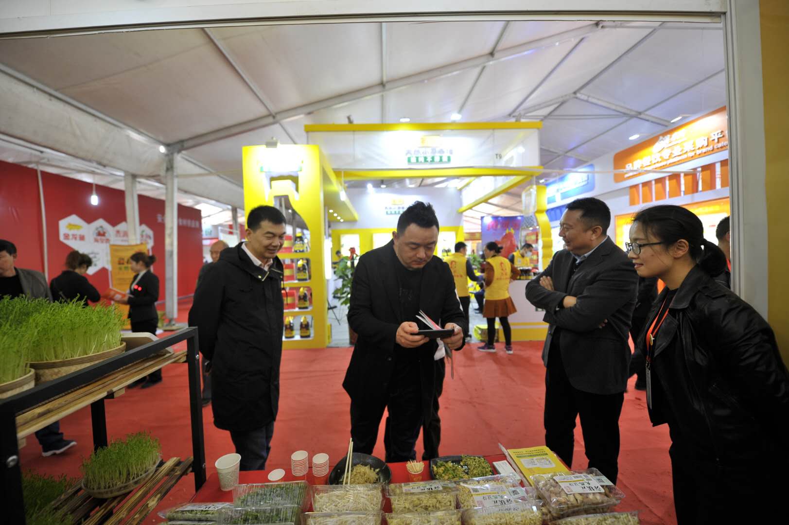 中原首届餐饮博览会济源开幕天然健康的“活体芽苗菜”抢镜