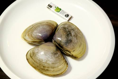 西施舌是什么菜系,西施舌学名叫什么