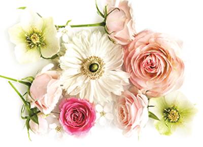 火爆全网的小安瓶,最近挺火的小安瓶