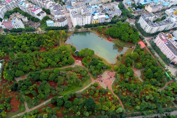 一封云南的特殊来信,一封来自云南的感谢信