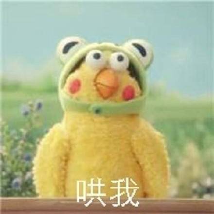 人傻活该被人骗,人傻就活该被骗吗