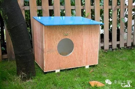 2017温暖继续！感谢CATS慈善基金连续五年为流浪猫提供温暖冬屋！