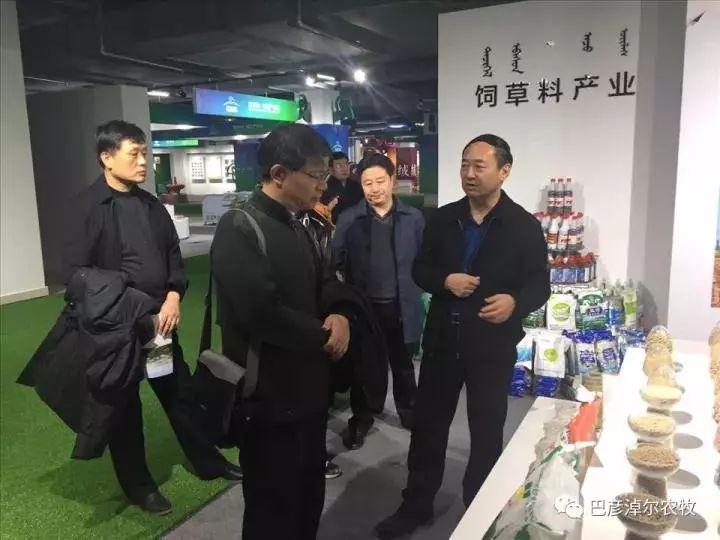 新闻早知道鸿雁知天下,鸿雁知天下