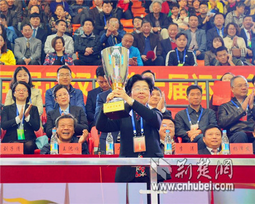 武汉第十届市运会,武汉市第十届运动会