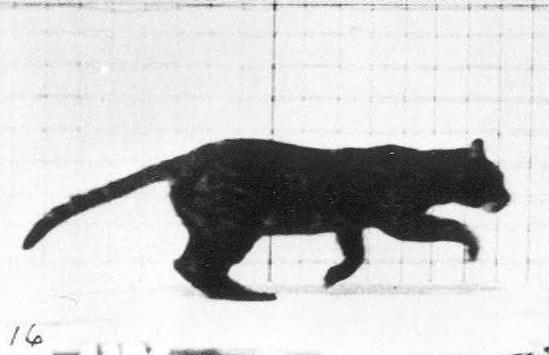 黑科技手指陀螺炫酷,金子打造的指尖陀螺