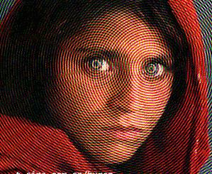 鏃犺亰鎷晳璁″垝,鏃犺亰鎷晳璁″垝鎴愬憳