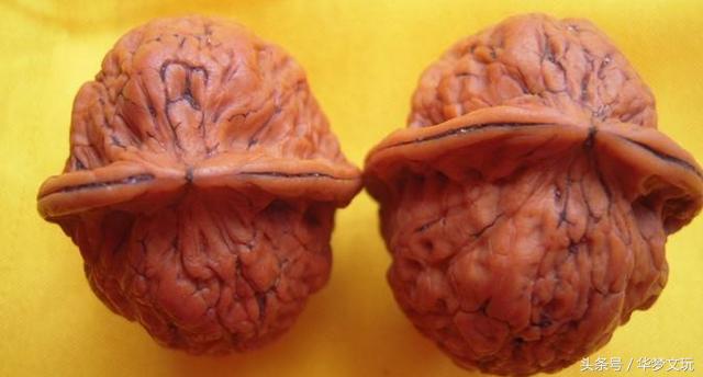 文玩核桃的产地具体有哪些,文玩核桃产地一览表