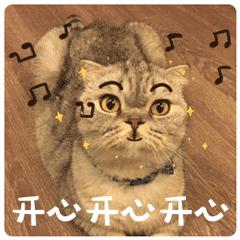 汕头有些路你连名字都叫不出来，但是那里的美食你却如数家珍！