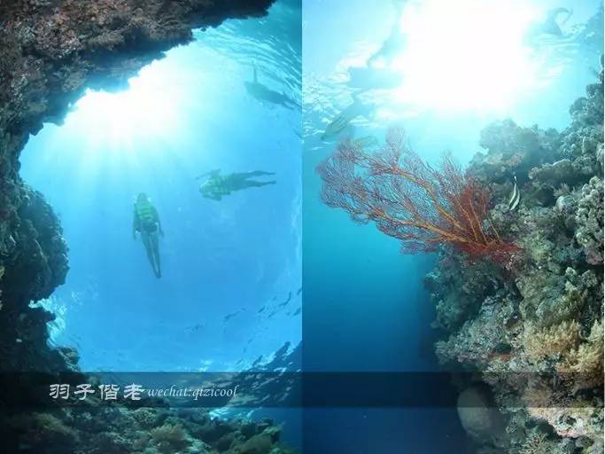 帕劳旅行真实感受,三次帕劳是一种什么体验