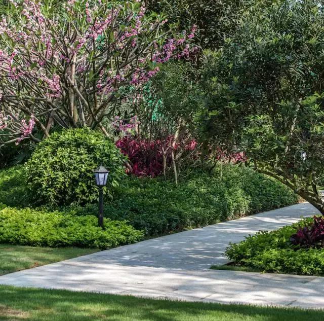 深圳看房测评,好房推荐深圳坪山新楼盘