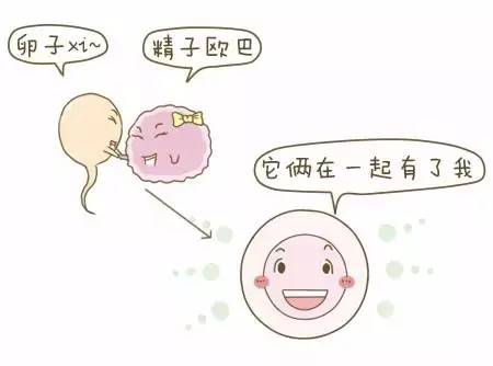 受孕的正确方法和注意事项,原来备孕这么难